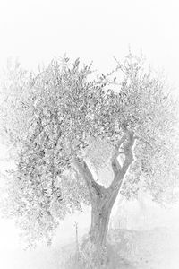 Old as Cold Water 11