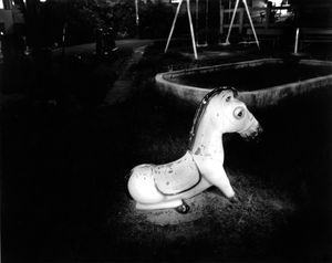 white horse