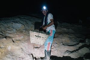 Miner