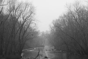 Serpentine Sangamon