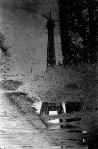 REFLECTIONS 02