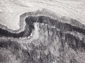 Arcus