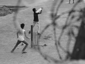 Cricket and barbed wire