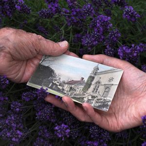 the postcard