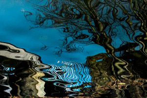 London Canal Reflections 7