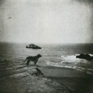 Between the cliff-rise and the beach