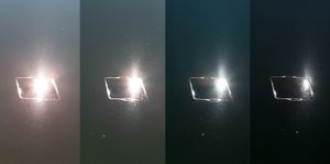 Crisalide_collecting water