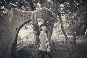 The girl & the dead horse