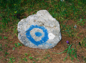 fig.8 Delphi.Micro-landscape