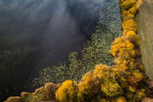 Lakeshore Operations | Fall Series #04