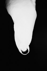 Human