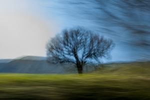 On a road to nowhere
