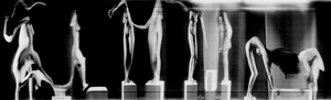 Slit Camera # 19