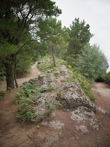 Quiet Isolation | Outland | Salina, Sicily | No. 1