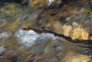 Water Emotions #9
