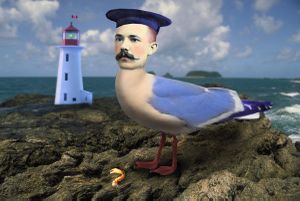 Sailor Gull