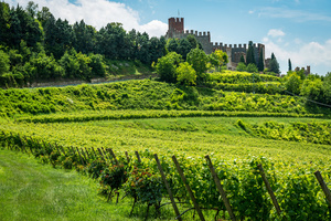 castello di Soave