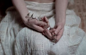 ivy © Cristina Coral