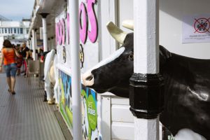 Peeping into the human culture.