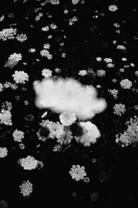 After the rain #1