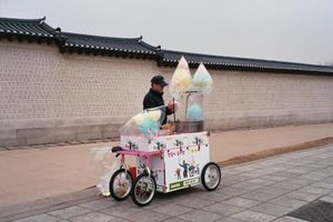 Cotton Candy Seller