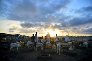 The butchers of Accra