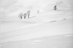 Nel Bianco