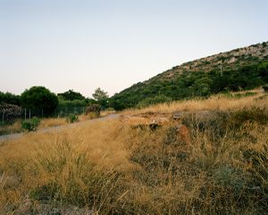 Palaia Fokea III © Yiannis Hadjiaslanis