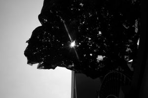 Hidden, New Oreans, 2012 © Ayala Gazit
