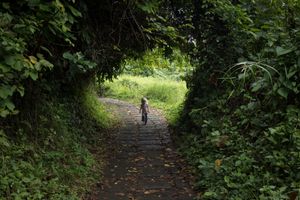 Trail