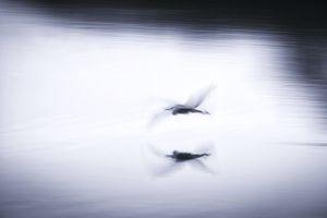 float