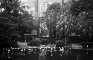 "Kowloon Park"