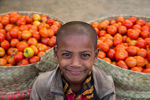 Tomato Boy
