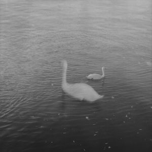 Sentimental Journey IV