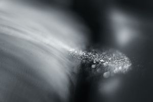 Untitled #16