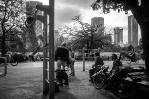 Normal day at the Park