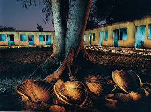 African Nights