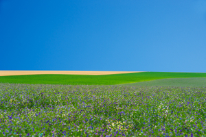 Paysage Culturel