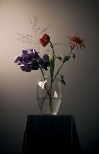 Wallflowers#4