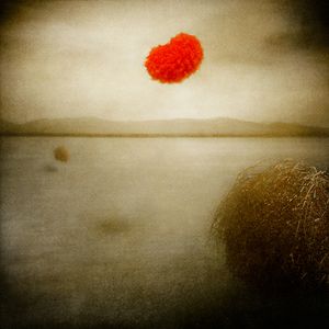 © Erin McGuire - Hair Loss