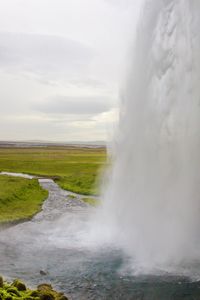 Foss 12