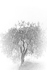 Old as Cold Water 3