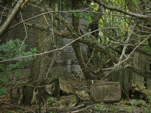 TRACES-TCHERNOBYL