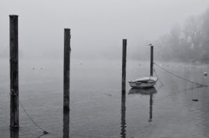 FOG VI