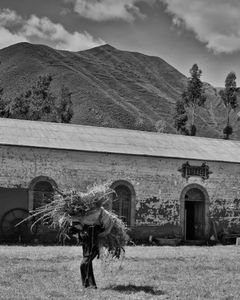 Lucre Wool Factory 2