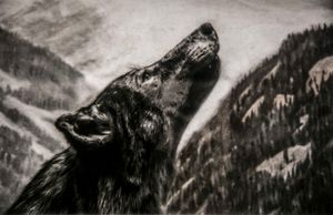 Epitaphs / Silent Stories/ Canis Lupus