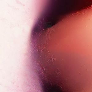 Body Archive: Dissection IX