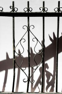 Untitled (Bedstuy Gates), 2016