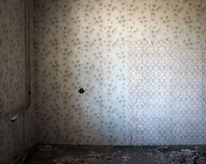 12. Pripyat. The forest grounds.