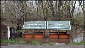 Toronto Island Portfolio Toronto Island Portfolio Limited Edition Prints  22x12" and 42x22"  2017